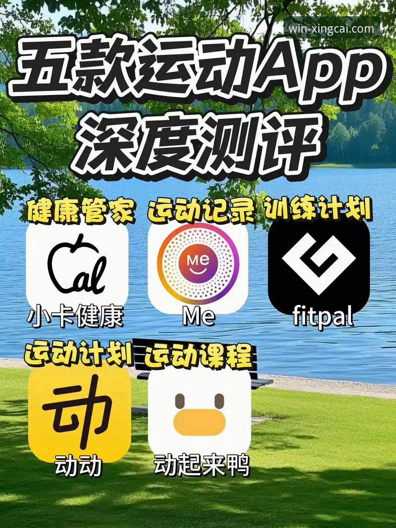 揭秘杏彩体育平台：一次关于官网App深度体验评测的创新探索