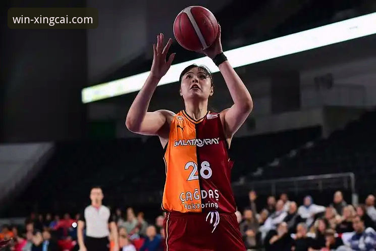 杏彩体育平台赛事深度解析与注册对比操作教程